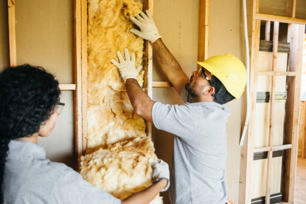 Best Garage Insulation Installation  in Sheridan, CA