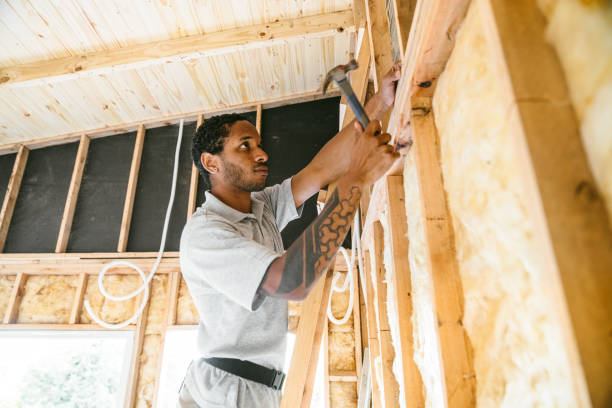 Best Insulation for New Construction  in Sheridan, CA